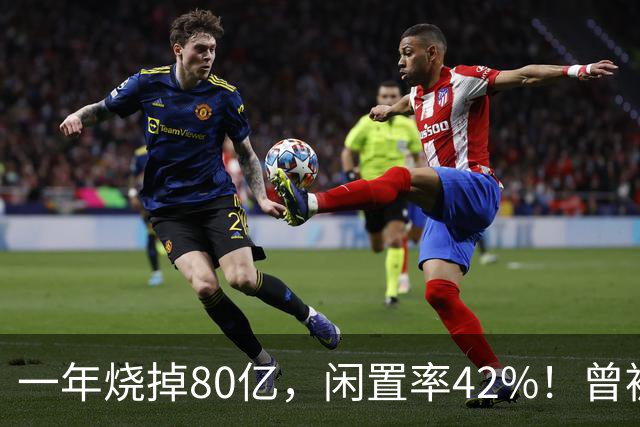 一年烧掉80亿，闲置率42%！曾被捧成香饽饽的生意，怎么不香了？