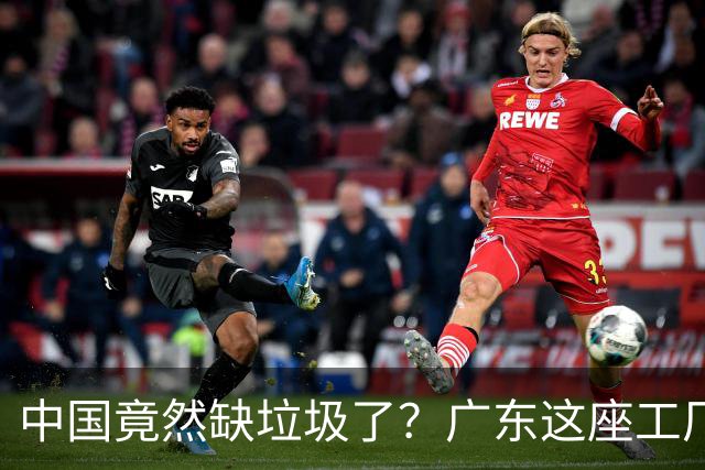 中国竟然缺垃圾了？广东这座工厂一天吃 9300 吨，一年发电 12 亿度！