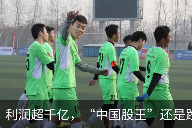 利润超千亿，“中国股王”还是跌疼了股民