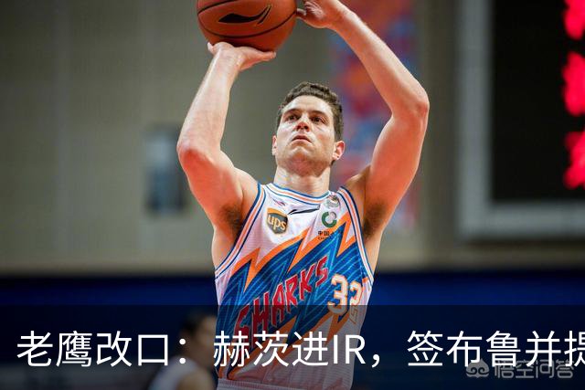 老鹰改口：赫茨进IR，签布鲁并提拔两人
