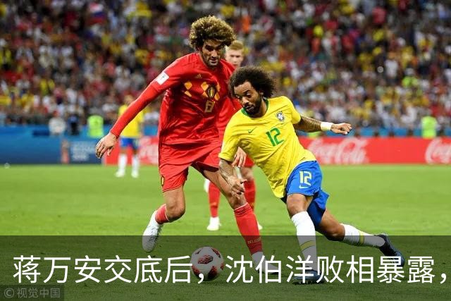 蒋万安交底后，沈伯洋败相暴露，还连累赖清德，最新民调不简单？