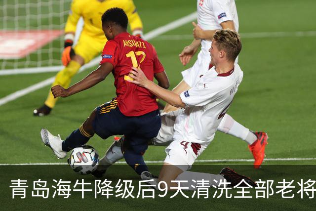 青岛海牛降级后9天清洗全部老将，是薪资帽所迫还是早有预案？