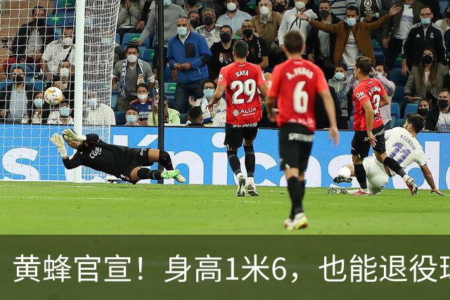 黄蜂官宣！身高1米6，也能退役球衣！